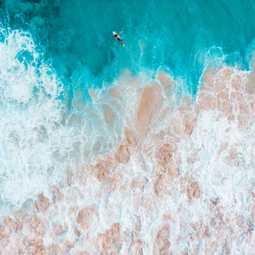 NOSARA Independent Surf